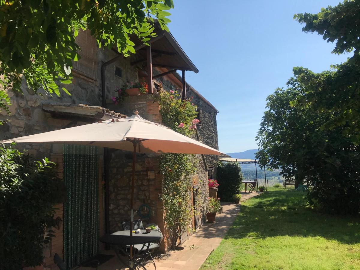 Podere Porcino Civitella d'Agliano Bagian luar foto