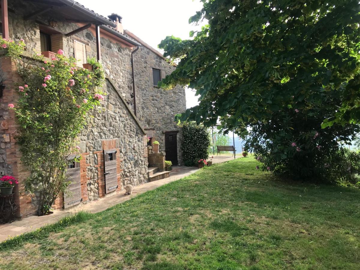 Podere Porcino Civitella d'Agliano Bagian luar foto