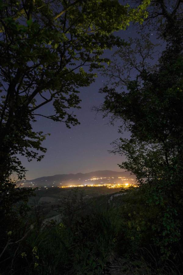 Podere Porcino Civitella d'Agliano Bagian luar foto