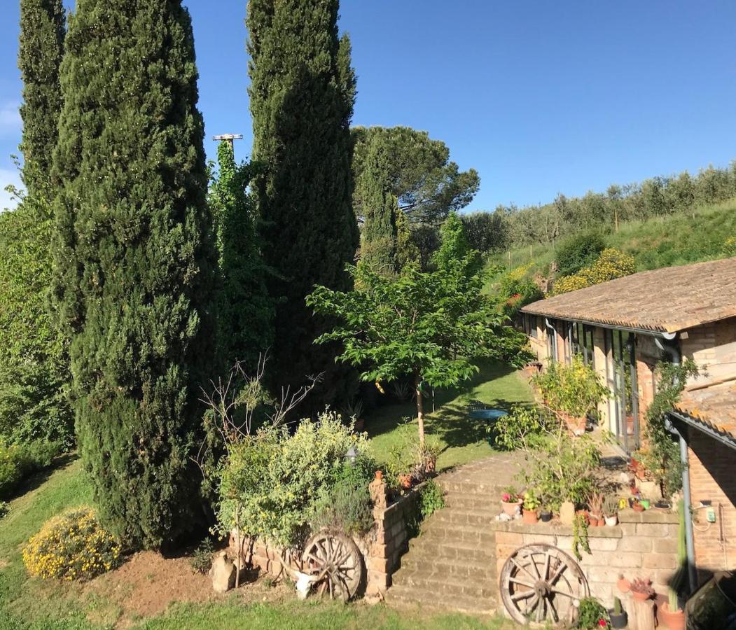 Podere Porcino Civitella d'Agliano Bagian luar foto