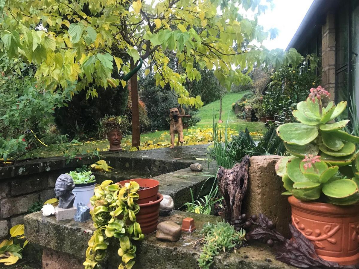 Podere Porcino Civitella d'Agliano Bagian luar foto