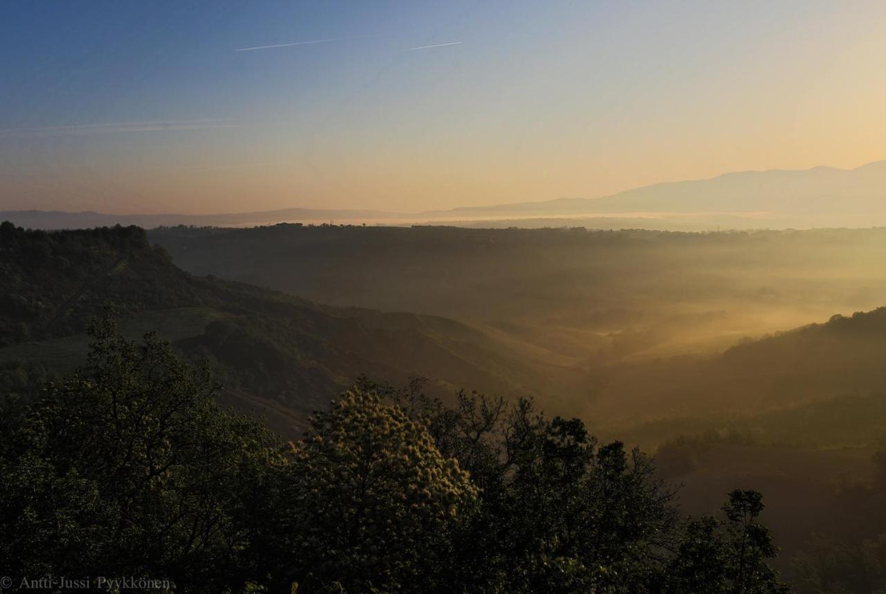 Podere Porcino Civitella d'Agliano Bagian luar foto
