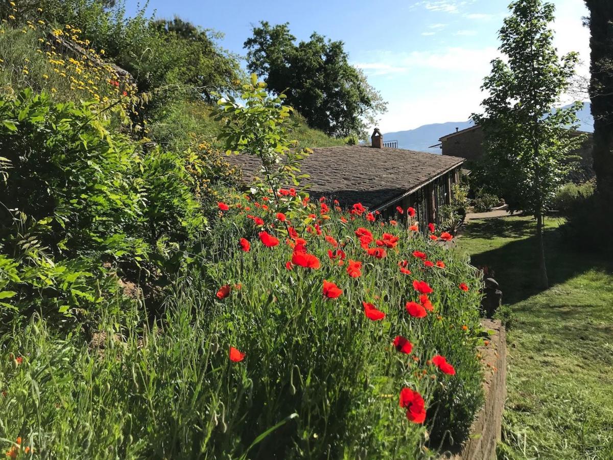 Podere Porcino Civitella d'Agliano Bagian luar foto