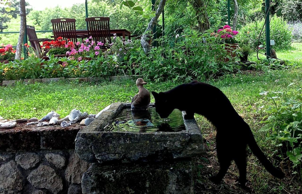 Podere Porcino Civitella d'Agliano Bagian luar foto
