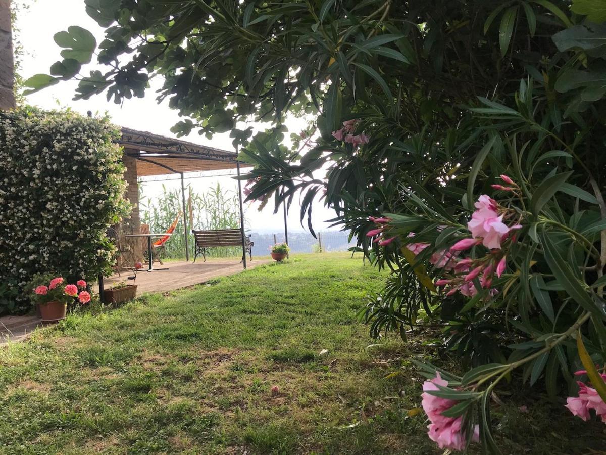Podere Porcino Civitella d'Agliano Bagian luar foto