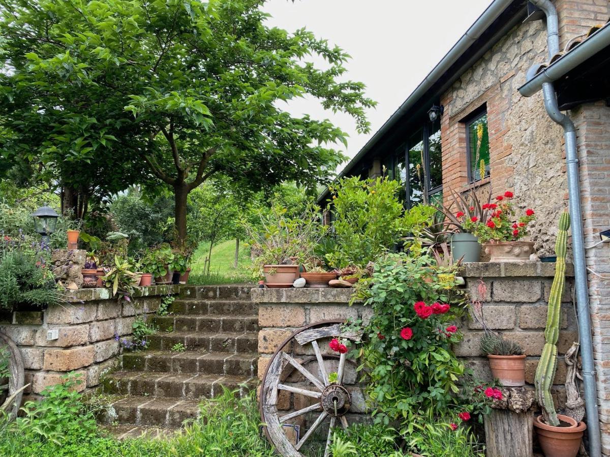 Podere Porcino Civitella d'Agliano Bagian luar foto
