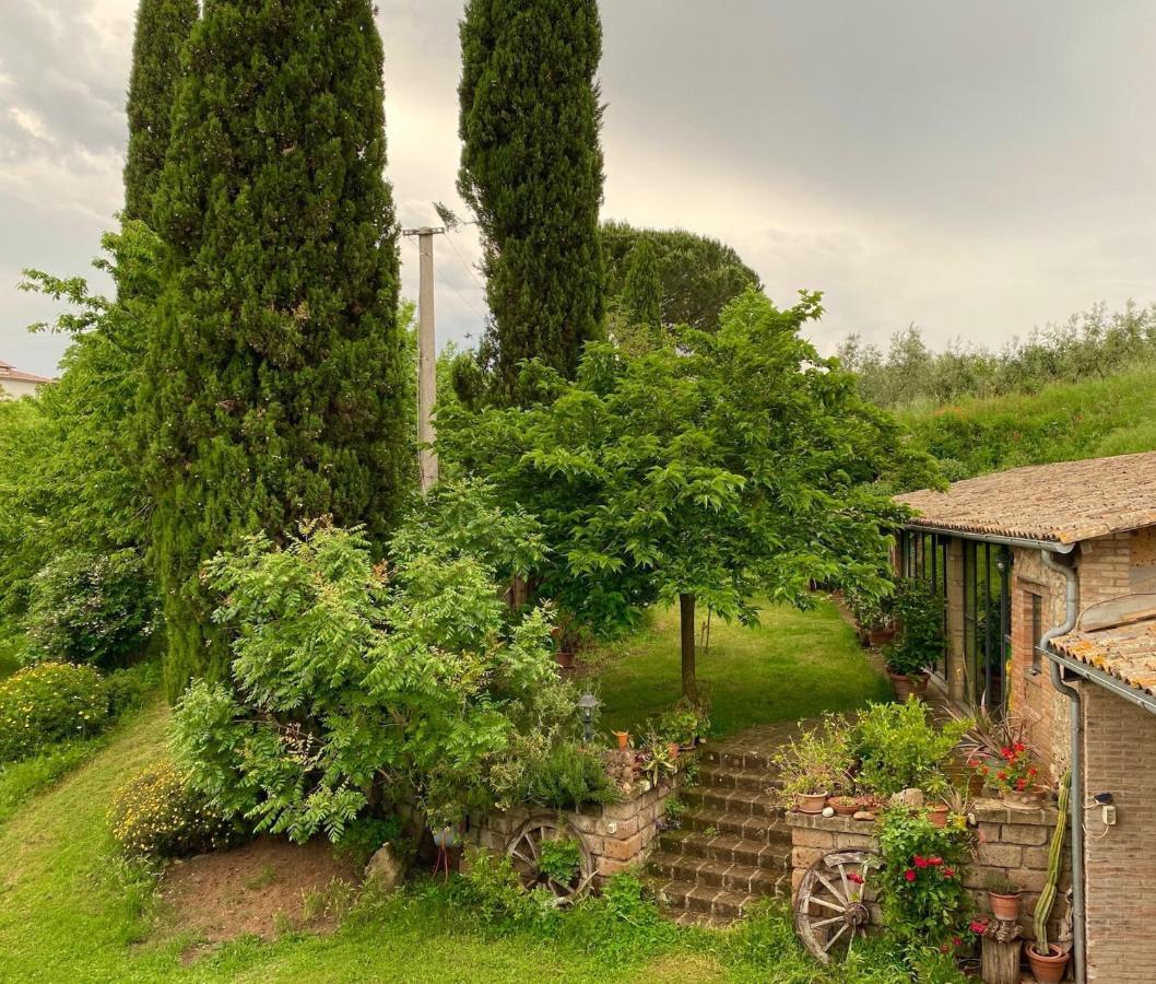 Podere Porcino Civitella d'Agliano Bagian luar foto