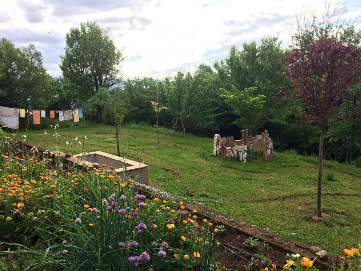 Podere Porcino Civitella d'Agliano Bagian luar foto