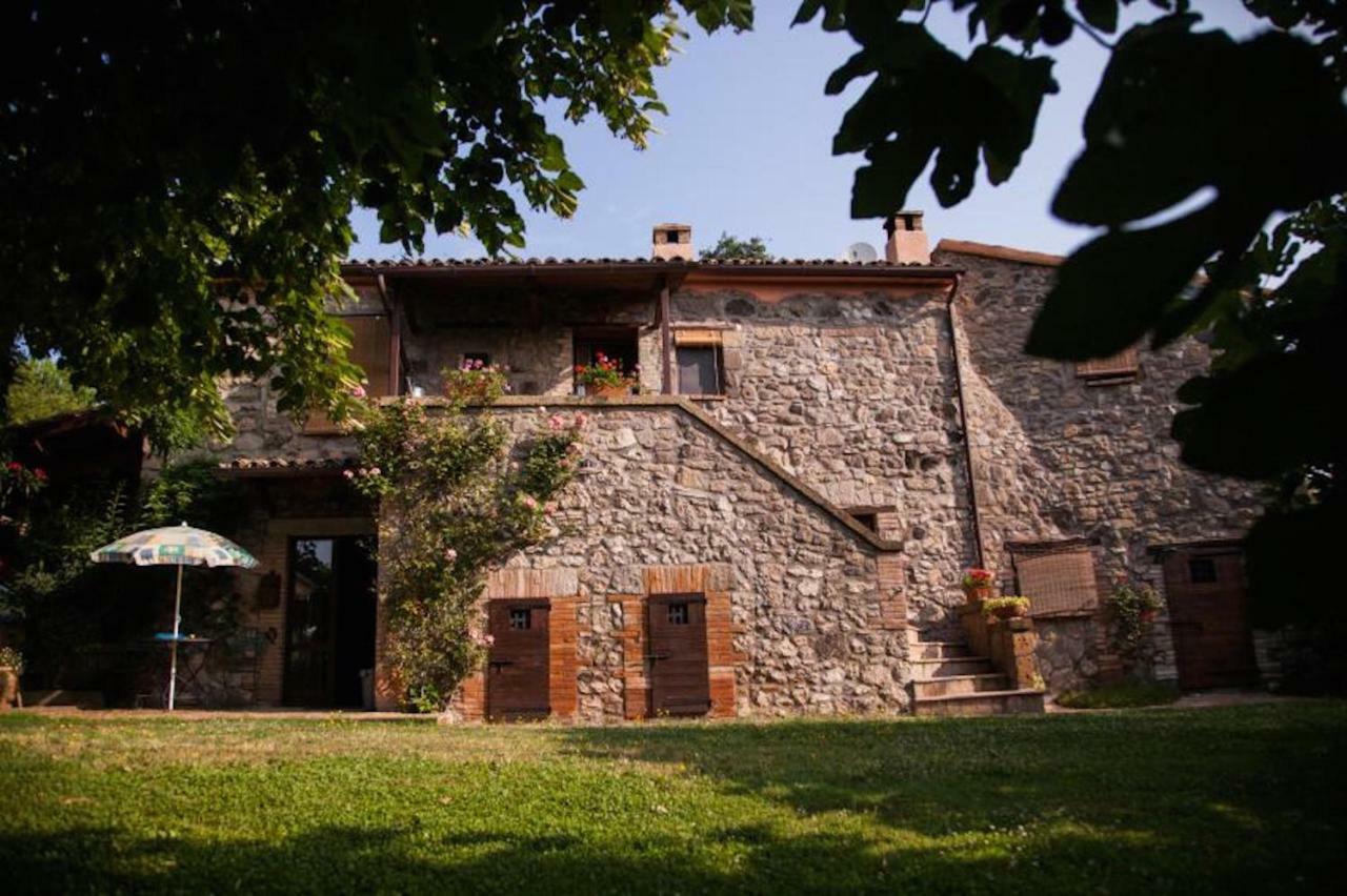 Podere Porcino Civitella d'Agliano Bagian luar foto