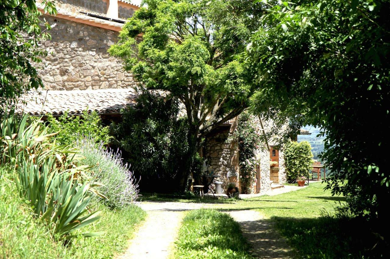 Podere Porcino Civitella d'Agliano Bagian luar foto