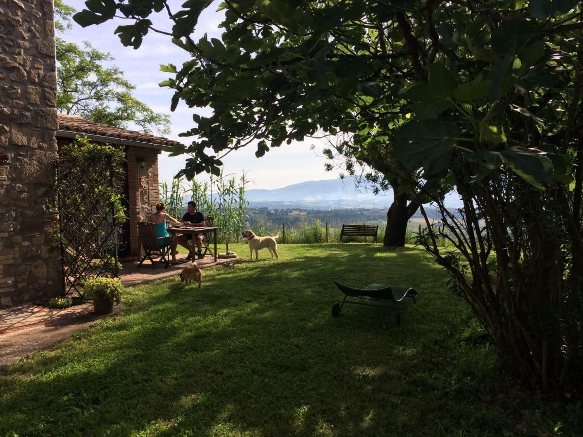 Podere Porcino Civitella d'Agliano Bagian luar foto