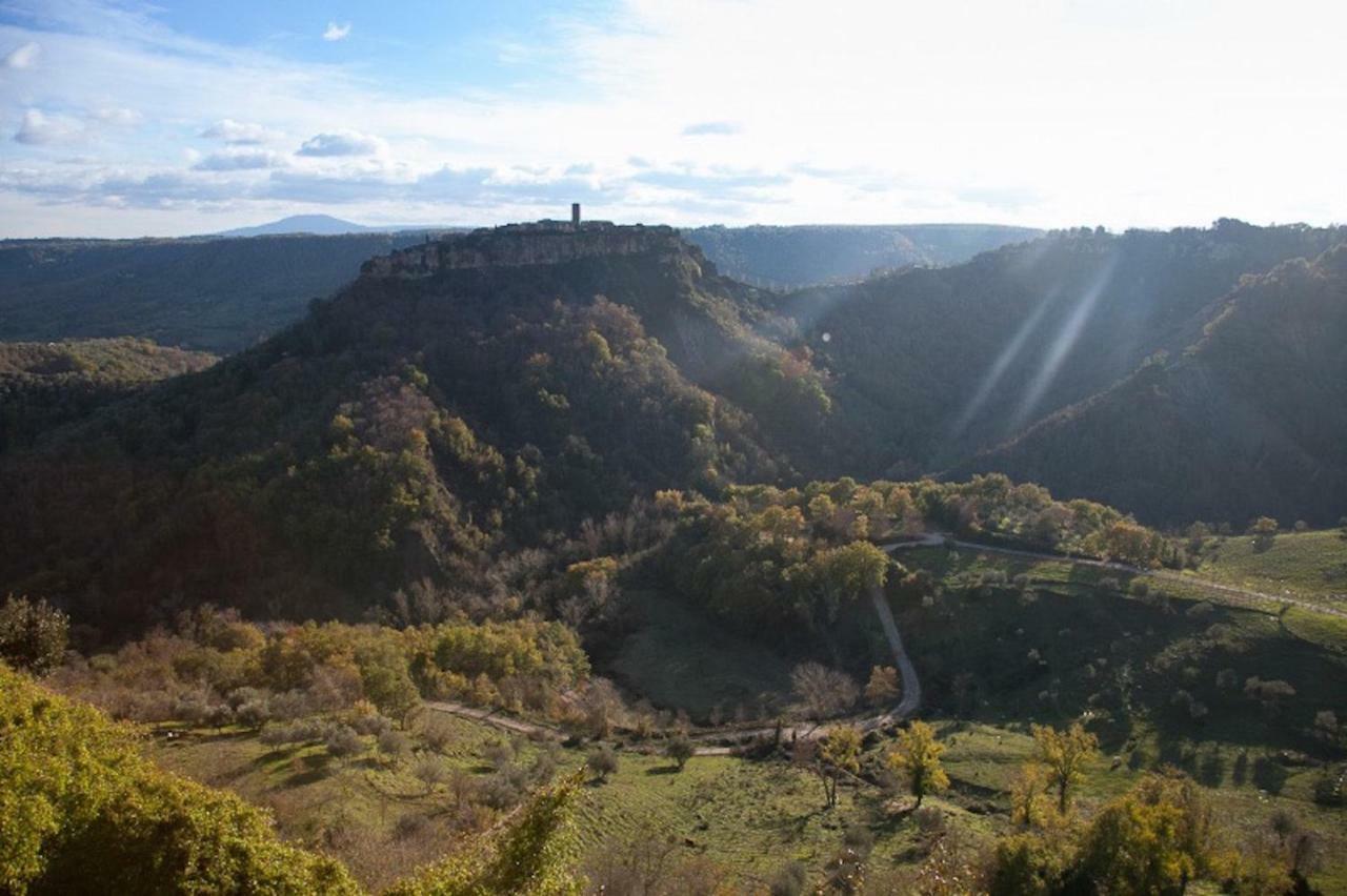Podere Porcino Civitella d'Agliano Bagian luar foto