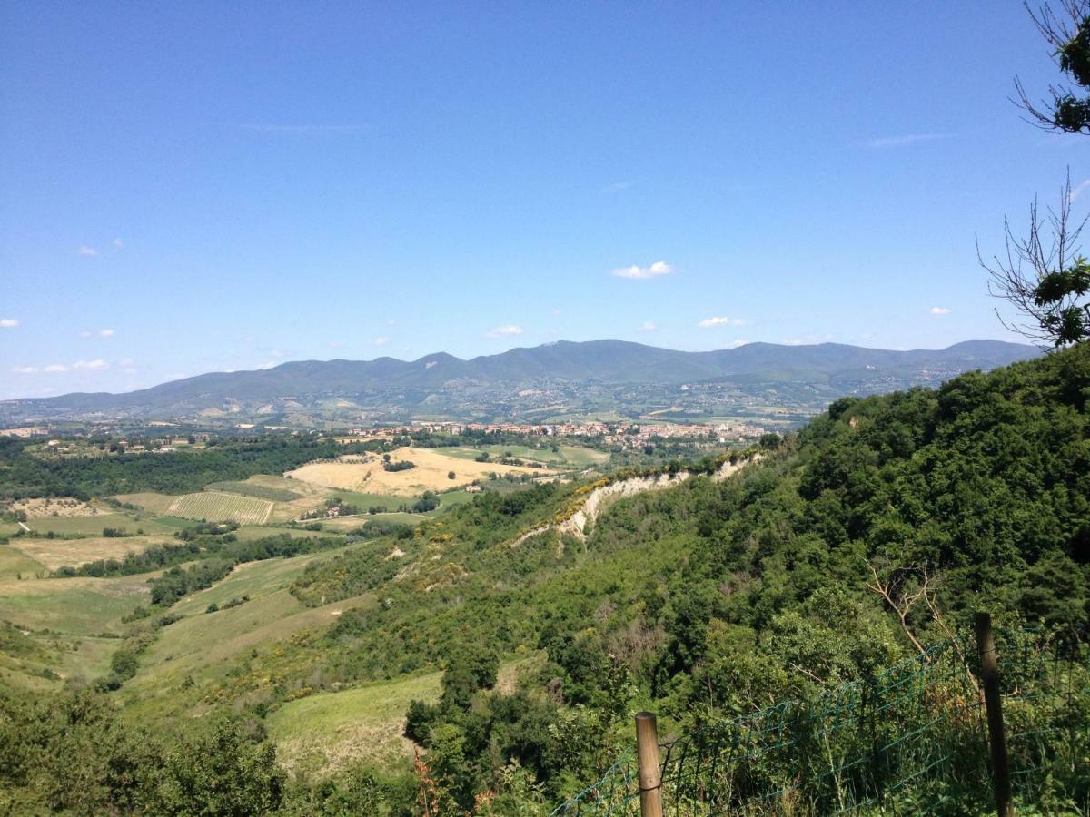 Podere Porcino Civitella d'Agliano Bagian luar foto
