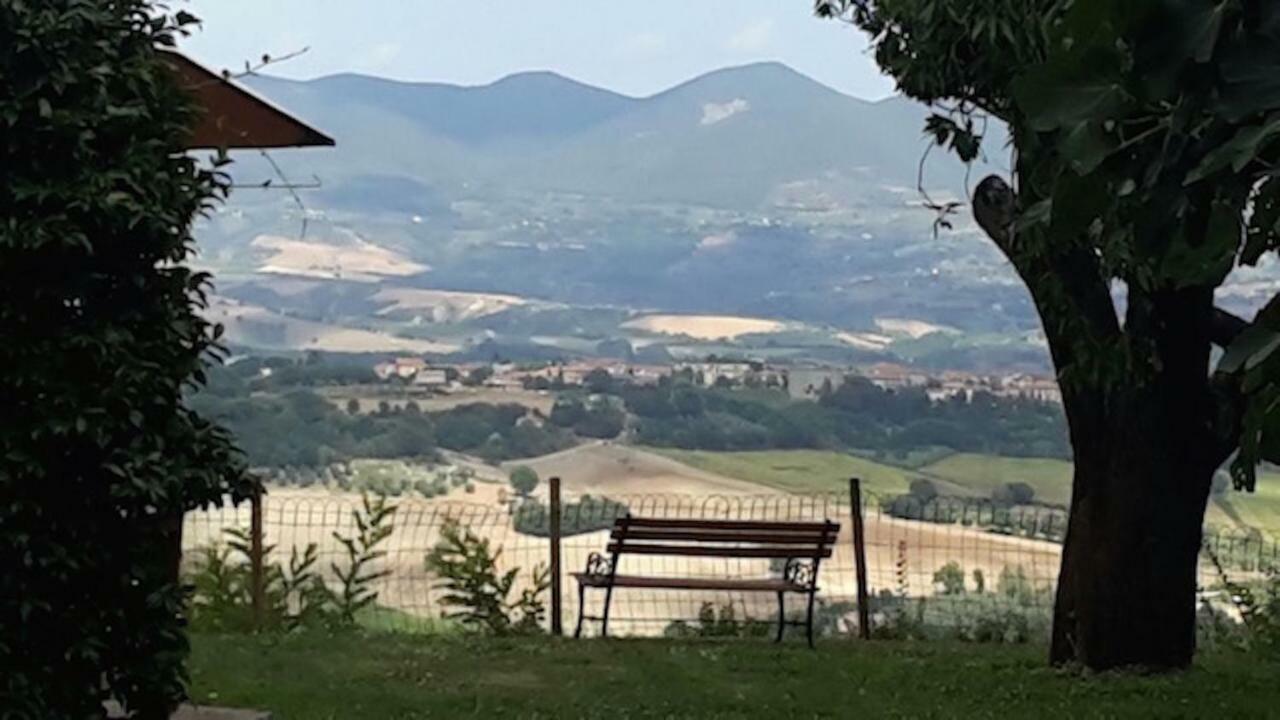 Podere Porcino Civitella d'Agliano Bagian luar foto