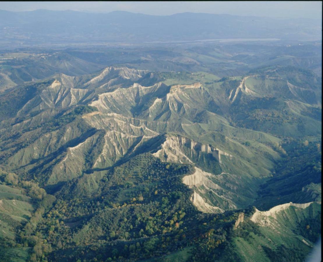 Podere Porcino Civitella d'Agliano Bagian luar foto