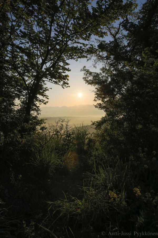 Podere Porcino Civitella d'Agliano Bagian luar foto