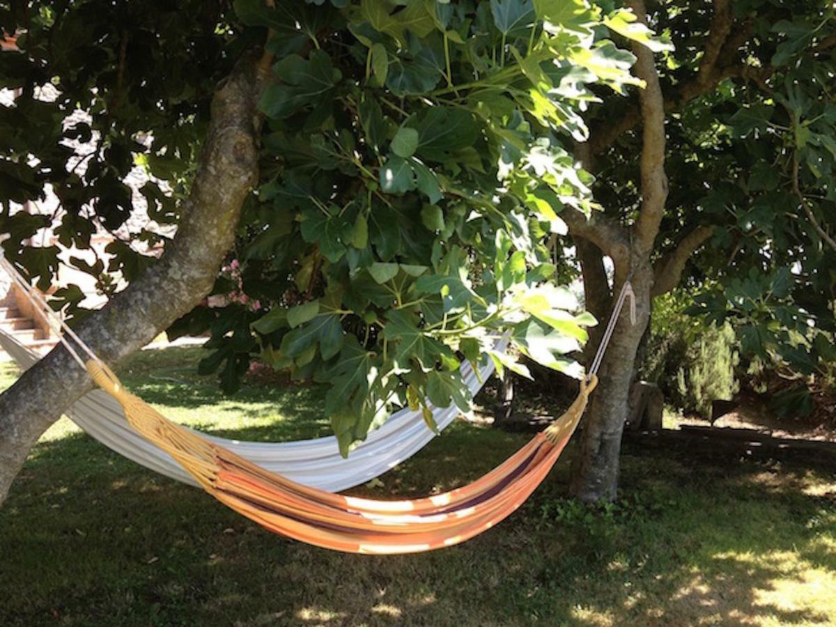 Podere Porcino Civitella d'Agliano Bagian luar foto