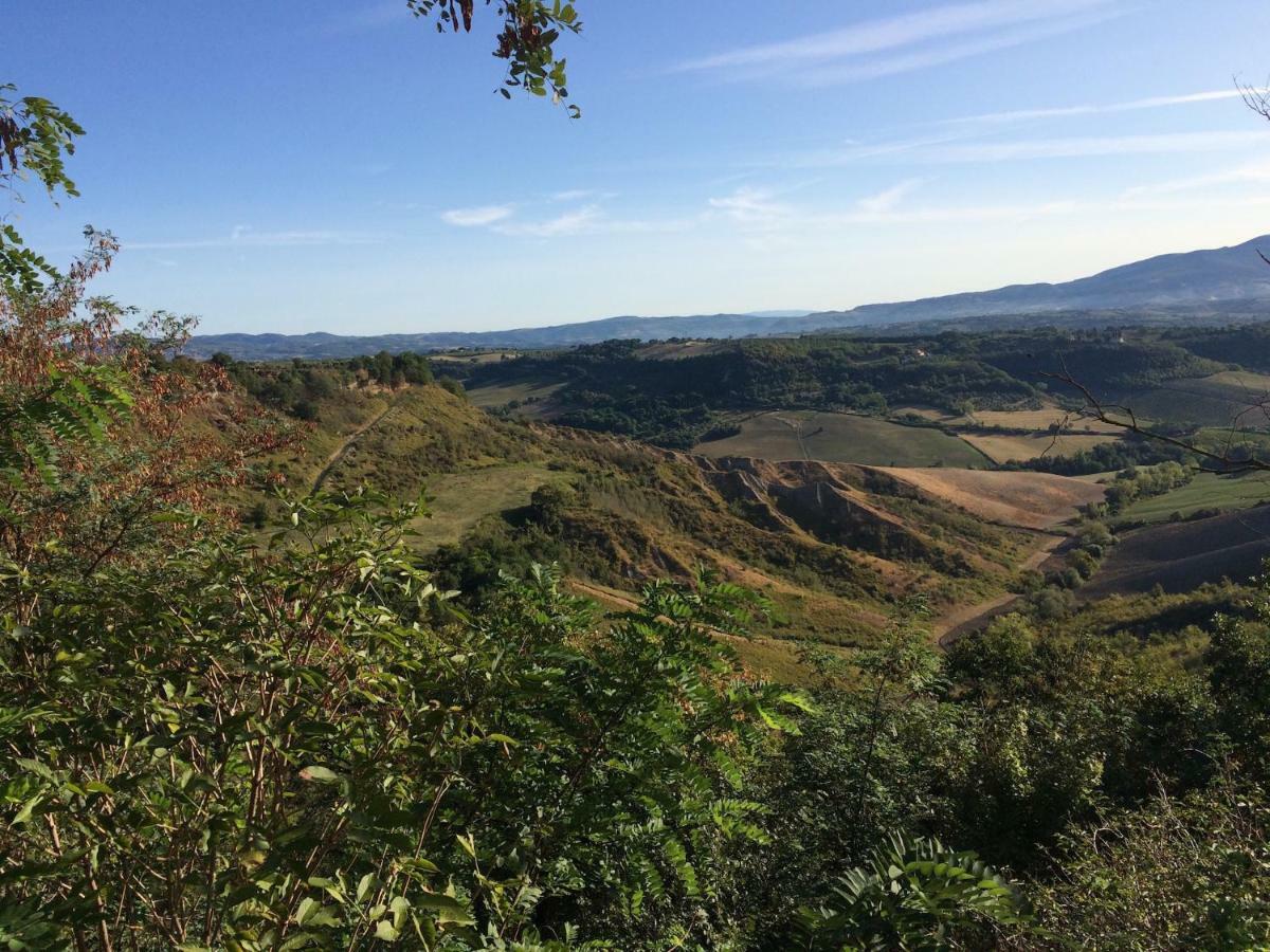 Podere Porcino Civitella d'Agliano Bagian luar foto