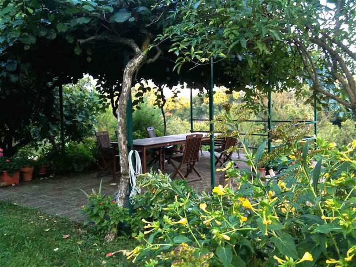Podere Porcino Civitella d'Agliano Bagian luar foto
